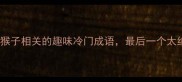 10个与猴子相关的趣味冷门成语最后一个太绝了