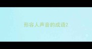 形容人声音的成语