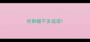 所剩蜡不多成语