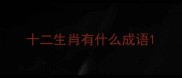 十二生肖有什么成语