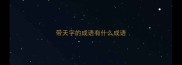 带天字的成语有什么成语