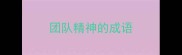 团队精神的成语