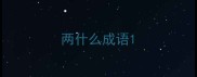 两什么成语