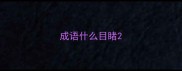 成语什么目睹