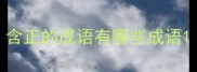 含正的成语有哪些成语