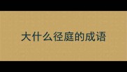 大什么径庭的成语