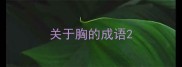 关于胸的成语