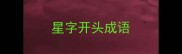 星字开头成语