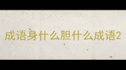 成语身什么胆什么成语