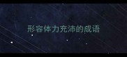 形容体力充沛的成语
