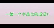 一第一个字是壮的成语