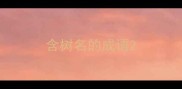 含树名的成语