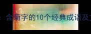 菊中君子含菊字的10个经典成语及文化内涵