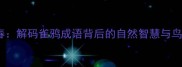 雀羽鸣春解码雀鸦成语背后的自然智慧与鸟类文化
