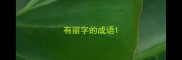 有丽字的成语