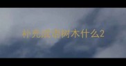 补充成语树木什么
