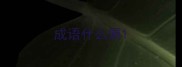 成语什么佩