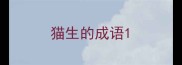 猫生的成语