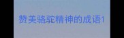 赞美骆驼精神的成语