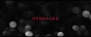 四字成语什么棋布