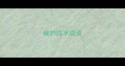 缄的四字成语
