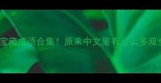 两个全的成语推荐全全全的宝藏成语合集原来中文里有这么多双全智慧看完秒变表达高手