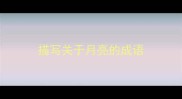 描写关于月亮的成语