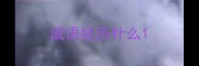 成语经历什么