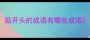 茹开头的成语有哪些成语