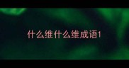 什么维什么维成语