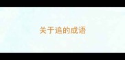 关于追的成语