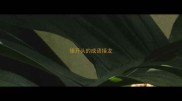 撞开头的成语接龙