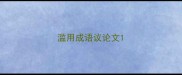 滥用成语议论文