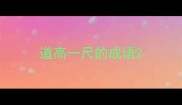 道高一尺的成语
