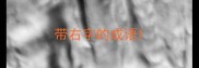 带右字的成语