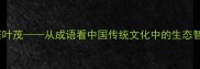 树大根深枝繁叶茂从成语看中国传统文化中的生态智慧与处世哲学