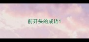 前开头的成语