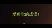 爱睡觉的成语