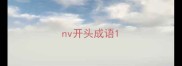 nv开头成语