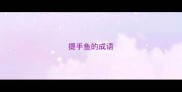 提手鱼的成语