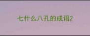七什么八孔的成语