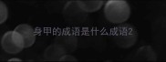 身甲的成语是什么成语