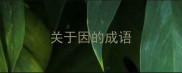 关于因的成语