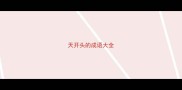 天开头的成语大全