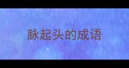 脉起头的成语