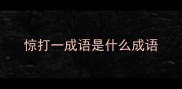 惊打一成语是什么成语