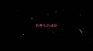 秀开头的成语