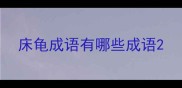床龟成语有哪些成语