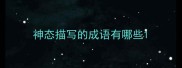神态描写的成语有哪些