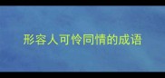 形容人可怜同情的成语